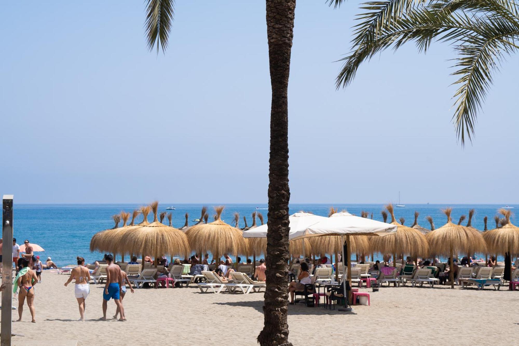 Beachside Oasis 951 *